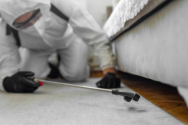 Professional Cockroach Control technician working in Durant, MS