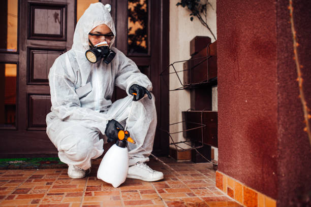 Reliable Cockroach Control contractor in Durant, MS by Nex Pest Control