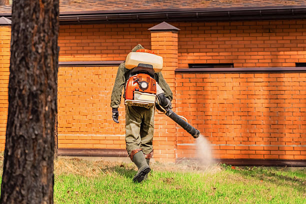 Top rated local Cockroach Control specialists in Durant, MS